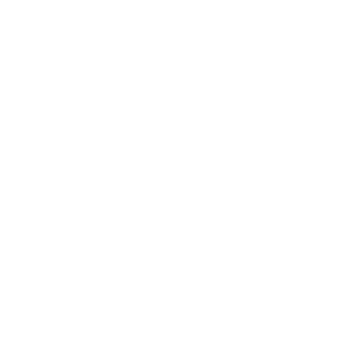 Dyadic International